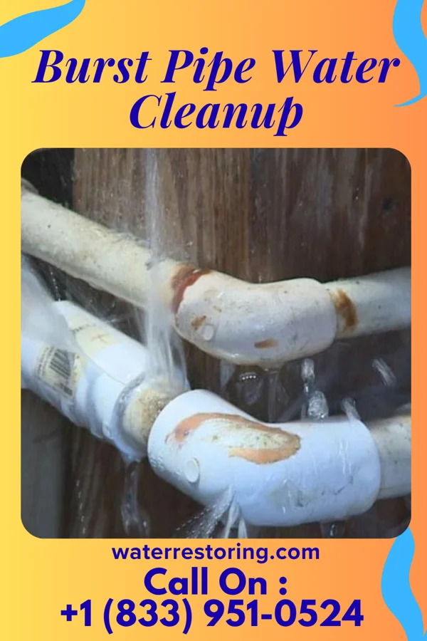 Burst Pipe Water Cleanup in Hewlett Bay Park, NY