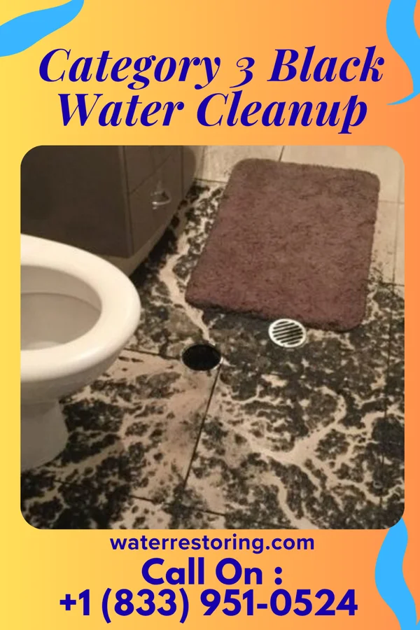 Category 3 Black Water Cleanup in Hewlett Bay Park, NY